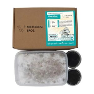 Hawaiian Magic Mushroom Grow Kit