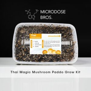 Thai Magic Mushroom Grow Kit