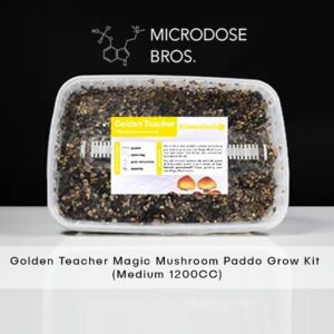 Golden Teacher Mushroom Grow Kit