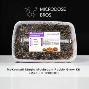 McKennaii Magic Mushroom Grow Kit 