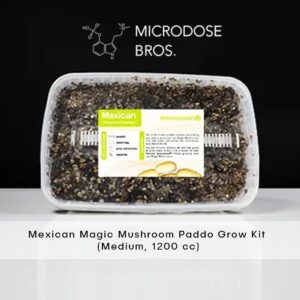 Mexicana Magic Mushroom Grow Kit